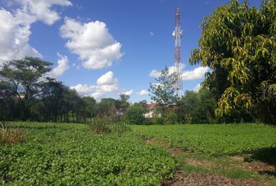 1.25 ac Land at Kamakis - 3