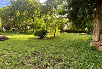 1 ac Land in Nyali Area - 2