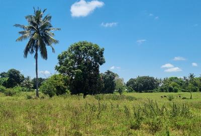 6 ac Land at Mtepeni - 3