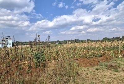 0.125 ac Land in Kamangu