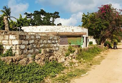 Land at Shanzu - 3