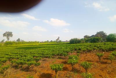 4.8 ac Land in Limuru - 3