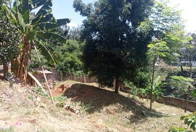 0.8 ac Land at Kitisuru - 4