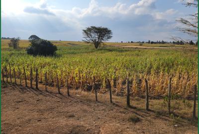 Land in Narok