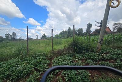 0.75 ac Commercial Land at Thindigua - 4