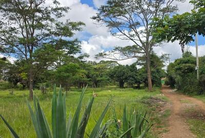 4 ac Land at Juja - 3