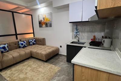 Furnished Studio Apartment with Borehole in Kilimani - 2