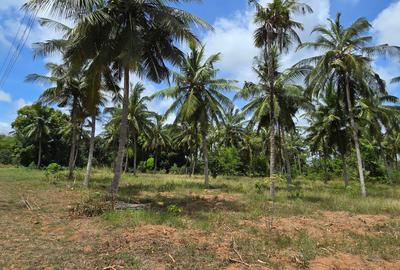 6 ac Land at Bomani - 2