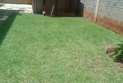 5 Bed Townhouse with En Suite in Lavington - 2