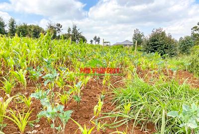 0.05 ha Land in Limuru - 3
