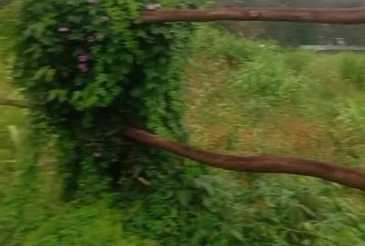 1.25 ac Land in Lavington - 2
