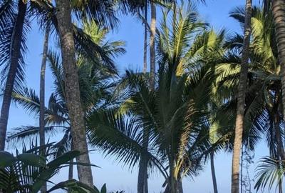 Commercial Property in Diani - 3