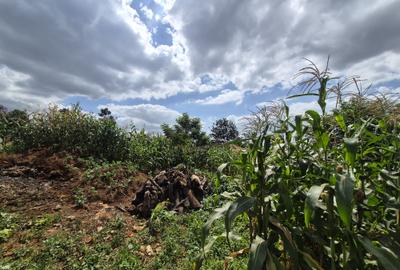 1.012 ha Land in Runda - 4