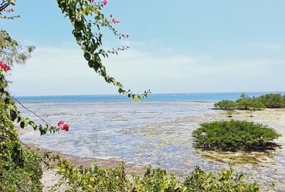 Land in Mtwapa - 3