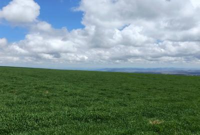 314 ac Land at Timau - 2