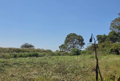 Residential Land in Runda - 4