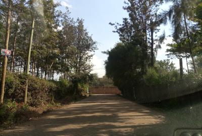 0.4991 ac Land in Roysambu Area - 2