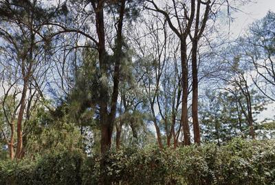 1 ac Land in Nyeri