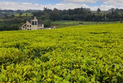 0.5 ac Land at Riara Ridge Tigoni