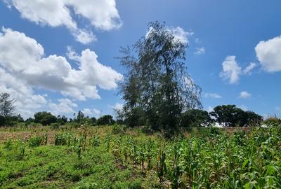 1.8 ac Land at Animo Mtwapa - 4