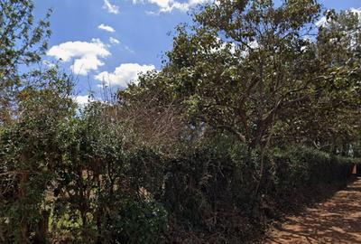 1 ac Land in Nyeri - 3