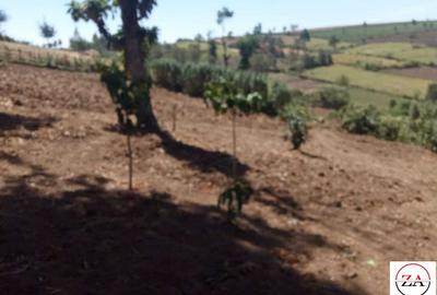 15 ac Land at Touching Nanyuki River - 4
