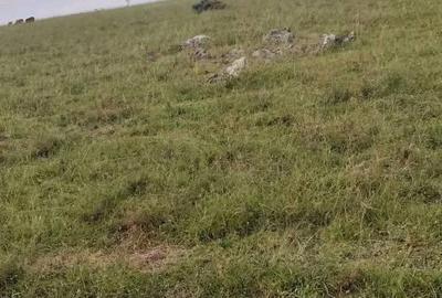 Land in Bisil - 3