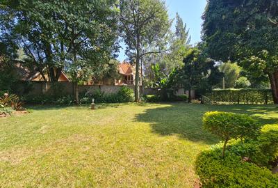 4 Bed House with En Suite at Miotoni - 3