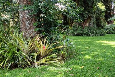 1.2 ac Land in Runda - 4