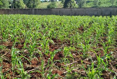 0.5 ac Land in Nyari - 2