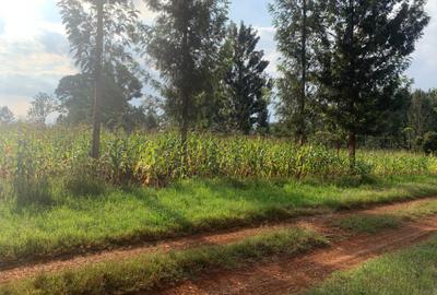 0.5 ac Land at Kiganjo Junction - 2
