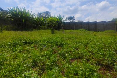 0.5 ac Residential Land in Cianda