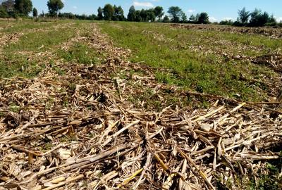 1 ac Land at Ngata