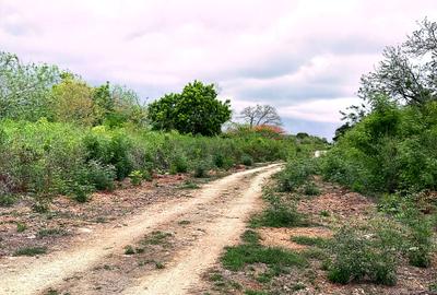10 ac Land at Kuruwitu Vipingo