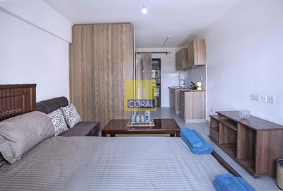 Studio Apartment in Ngara