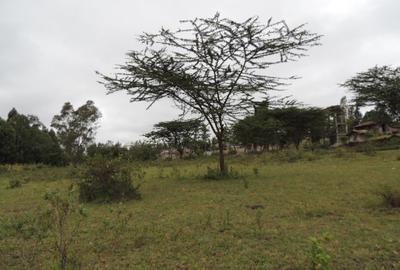 2 ac Land at Nkoroi - 4