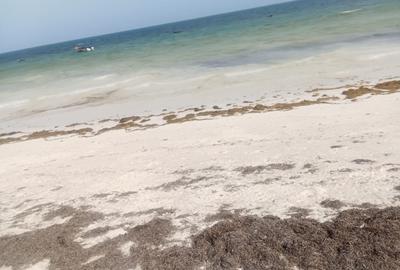 3.2 ac Land at Galu Beach - 3