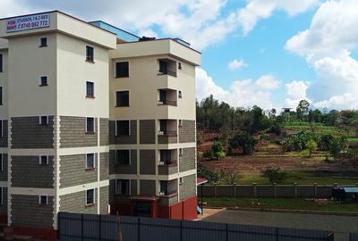 1 Bed Apartment in Embu - 2