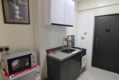 Furnished Studio Apartment with Gym in Kileleshwa - 2