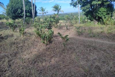 1,450 ac Land at Mabokoni - 4