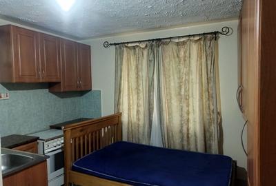 Studio Apartment with Parking in Lavington - 4