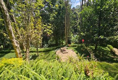 5 Bed Townhouse with En Suite in Kitisuru - 4