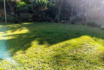 1 Bed House with En Suite in Kitisuru - 3