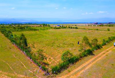 Residential Land in Naivasha