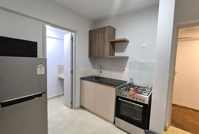 Studio Apartment with En Suite at Naivasha Road Nairobi - 2