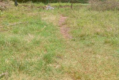 Land in Loresho - 2