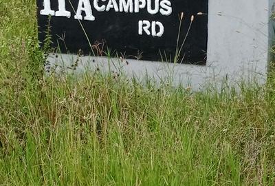 0.215 ac Residential Land at Chuna - 3
