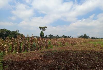 Land in Karen - 2