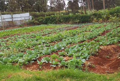 1.5 ac Residential Land in Redhill