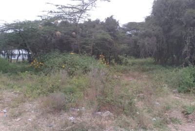0.25 ac Residential Land at Maasai Lodge Road - 3